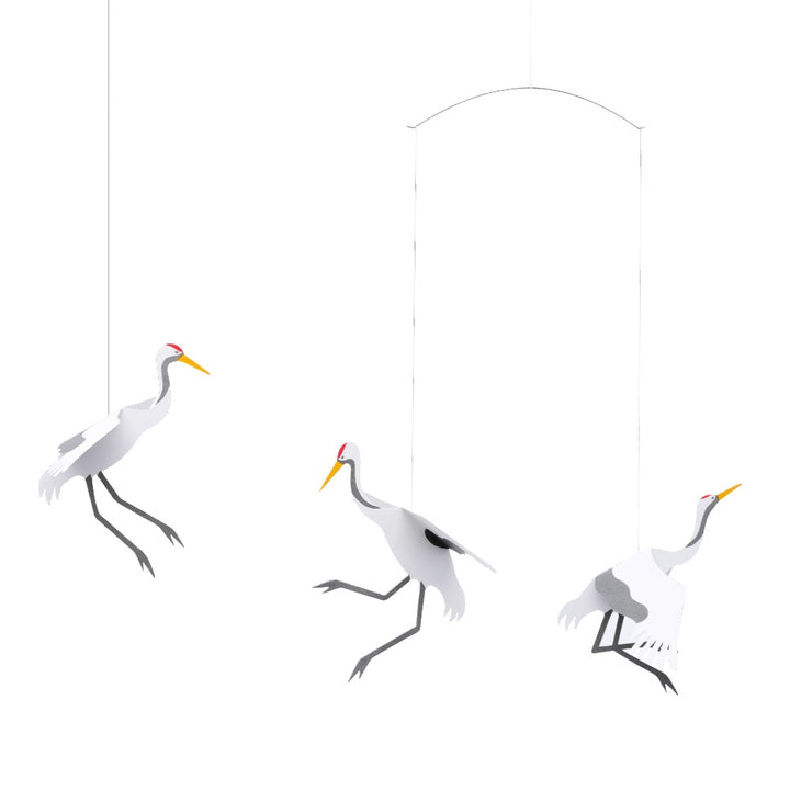 Flensted Crane Dance